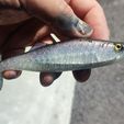 IMG_20230705_155024.jpg Soft bait mold c137