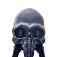 InShot_20240520_153308901.jpg Giger Skull Concept