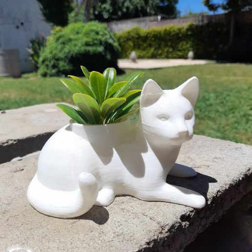 WhatsApp-Image-2021-11-19-at-12.55.00.jpeg Cat Flowerpot