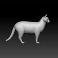cat2.jpg Cat- cat 3d model Realistic - cat game 3d model