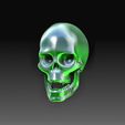Skull.jpg Human skeleton