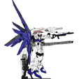 171.png 1/60 Freedom Gundam ZGMF-X10A