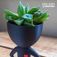 TIMUX_MY9_4.jpg STL-Datei ROBERT PLANT LOVE・Design für den 3D-Druck zum Herunterladen
