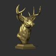 30.jpg White tailed deer bust