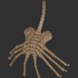 7.jpg alien facehugger