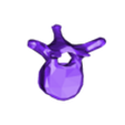 VertebralColumn15.stl Skeleton vertebral column torso bones (90 bones)