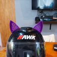 IMG_20240412_161800.jpg Cat ears for helmet - Cat ears for helmet