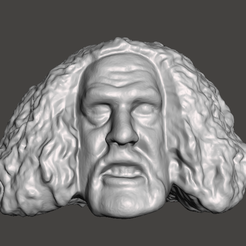 Screenshot-1519.png Файл STL WWE WWF LJN стиль дикий самоан афа голова скульптура・Модель для загрузки и 3D печати