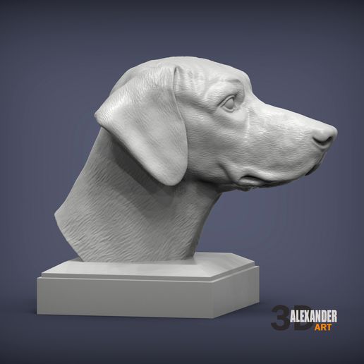 rhodesian-ridgeback-bust4.jpg Rhodesian ridgeback bust 3D print model