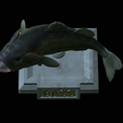 Bass-stocenej-15.png fish bass trophy statue detailed texture for 3d printing