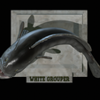 White-grouper-open-mouth-1-32.png fish white grouper / Epinephelus aeneus trophy statue detailed texture for 3d printing