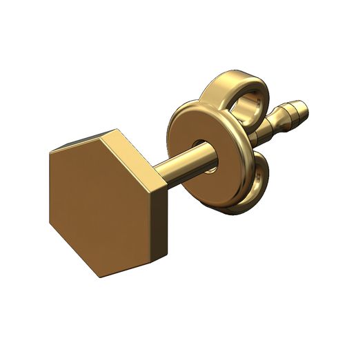 Hexagonal coin stud earring 3D print model 3D model