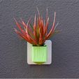 lowres_YS7WRHGHOF.jpg Download free STL file 2” Planter with Spout • Template to 3D print, DDDeco