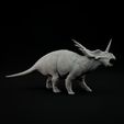 Styracosaurus_roaring_B4.jpg Styracosaurus roaring 1-35 scale pre-supported