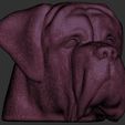 20.jpg English Mastiff head for 3D printing