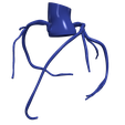 5.png 主动脉和冠状动脉 3D 模型 - 6 件装