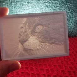 cat-litho-print.jpg Chat Lithophane