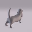 Basset_0007.jpg Dogs bundle