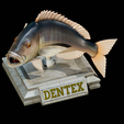Dentex-trophy-17.png fish Common dentex / dentex dentex trophy statue detailed texture for 3d printing