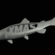 pstruh-solo-model-1-10.png xmas / christmas fish trout sculpture