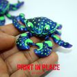 cangrejo5.jpg blue crab printinplace