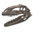 05.jpg Giganotosaurus skull in 3D