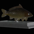 Carp-money-4.png fish sculpture of a carp with storage space for 3d printing