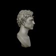 24.jpg Timothee Chalamet bust sculpture 3D print model