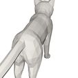 10005.jpg Cat