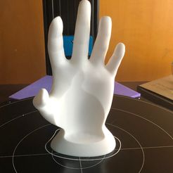 IMG_1731.jpg Free 3D file supporting hand・3D printing design to download