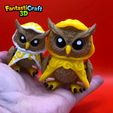 IMG_8074.jpeg FANTASTICRAFT3D - Mystic Owl flexi- Fantasy, Mystical, Wizard, D&D