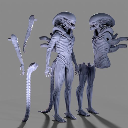 xenomorph2.jpg Модель инопланетного ксеноморфа