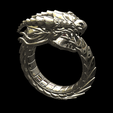Screenshot-2023-09-30-192733.png Dragon ouroboros ring