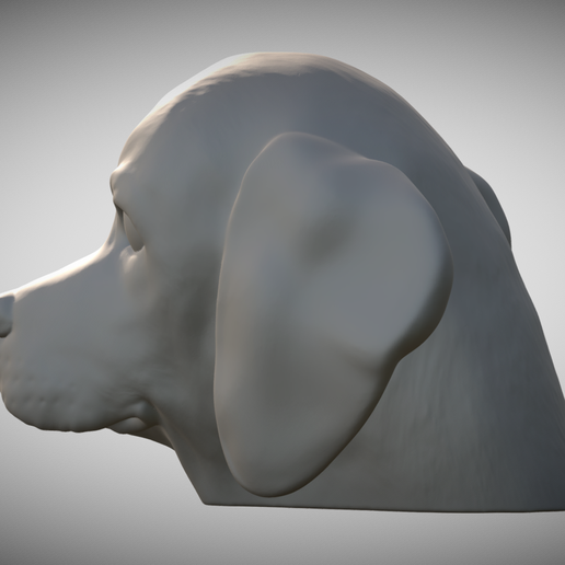 Zrzut-ekranu-2025-06-13-220035.png 用于 3D 打印的比格犬头部小狗