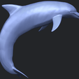 27_TDA0613_Dolphin_03B06.png Dolphin 03