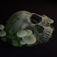 skull-hide-14.png Skull Forest Floor Hide