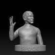 2.jpg Mr. Spock Bust