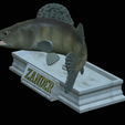 zander-statue-4-mouth-open-14.png fish zander / pikeperch / Sander lucioperca open mouth statue detailed texture for 3d printing