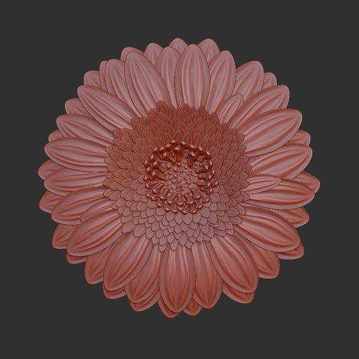 Gerbera 3d relief .stl file 3D model