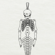 Screenshot_15.png mermaid skeleton