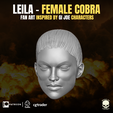 4.png Leila Collection 3D printable File For Action Figures