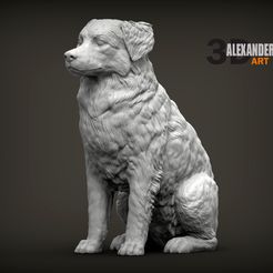 australian-shepherd-sitting-1.jpg Archivo STL Pastor australiano sentado Modelo impreso en 3D・Modelo para descargar y imprimir en 3D