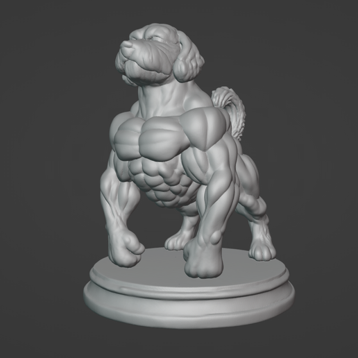 Schermafbeelding-2025-08-01-173835.png Steriod Labradoodle