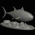 Bluefin-tuna-16.png Atlantic bluefin tuna / Thunnus thynnus / Tuňák obecný  fish underwater statue detailed texture for 3d printing