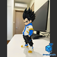 vegeta7.png VEGETA URBAN VIBES (MULTIPARTS/3MF/NoAMS)