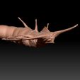 34face.jpg Leviatã Fantasma - SUBNAUTICA