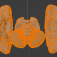 9.png 3D Model of Brain with Cerebellum and Brain Stem