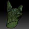 23.jpg Sphynx cat head for 3D printing