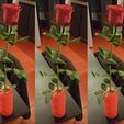 Vase ondulé droit.jpg Straight corrugated vase