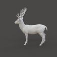 Deer_1.2.jpg Fallow Deer Sculpture